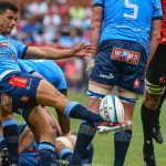 rugby,lions,bulls